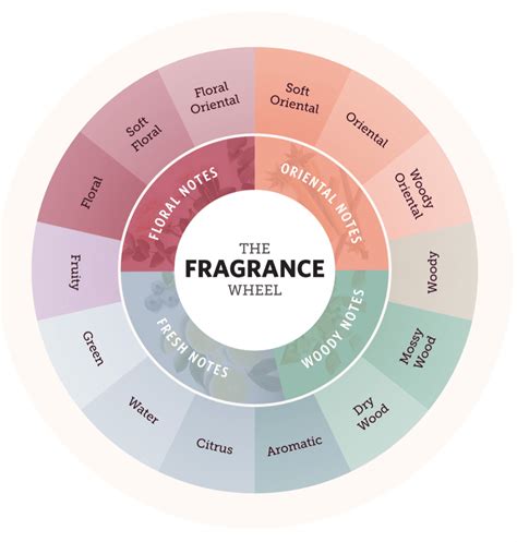 list of different perfume smells.